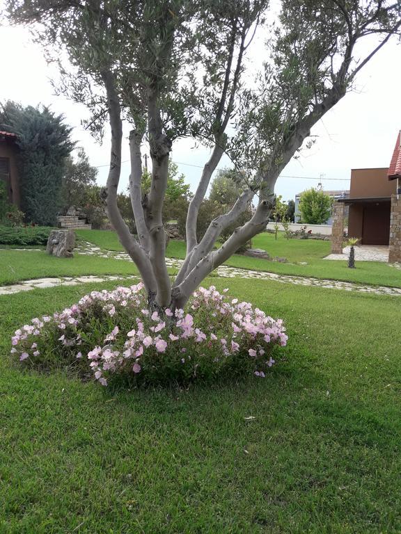 Beautiful Sani Villa Zewnętrze zdjęcie